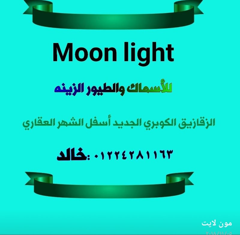 Moon light - صورة 2