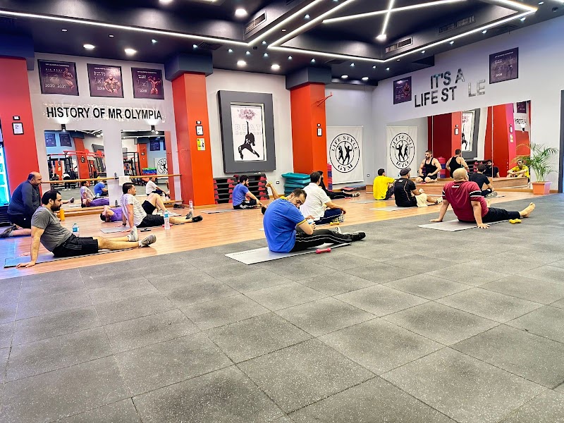 lifestyle gym zagazig