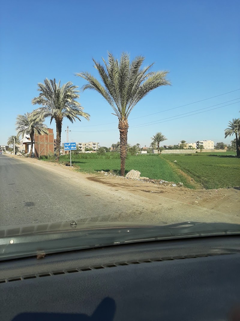 مجلس مدينة الفيوم - صورة 3