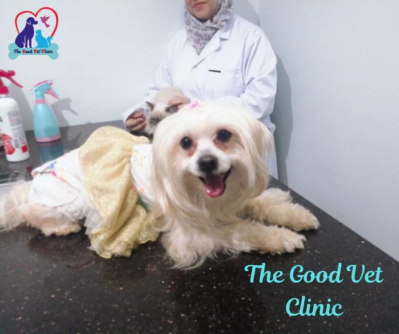 The good vet clinic
