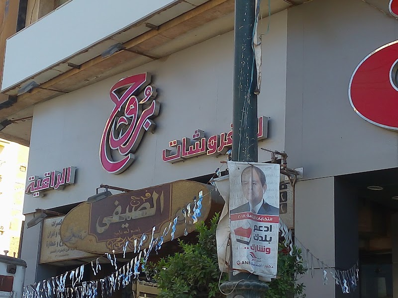 شركة مصر لتأمينات الحياة - صورة 2
