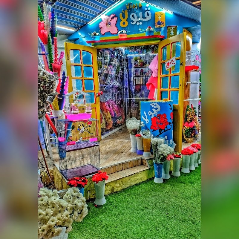 ڤيولا للزهور وتأجير أحدث أنواع سيارات الزفاف - صورة 3