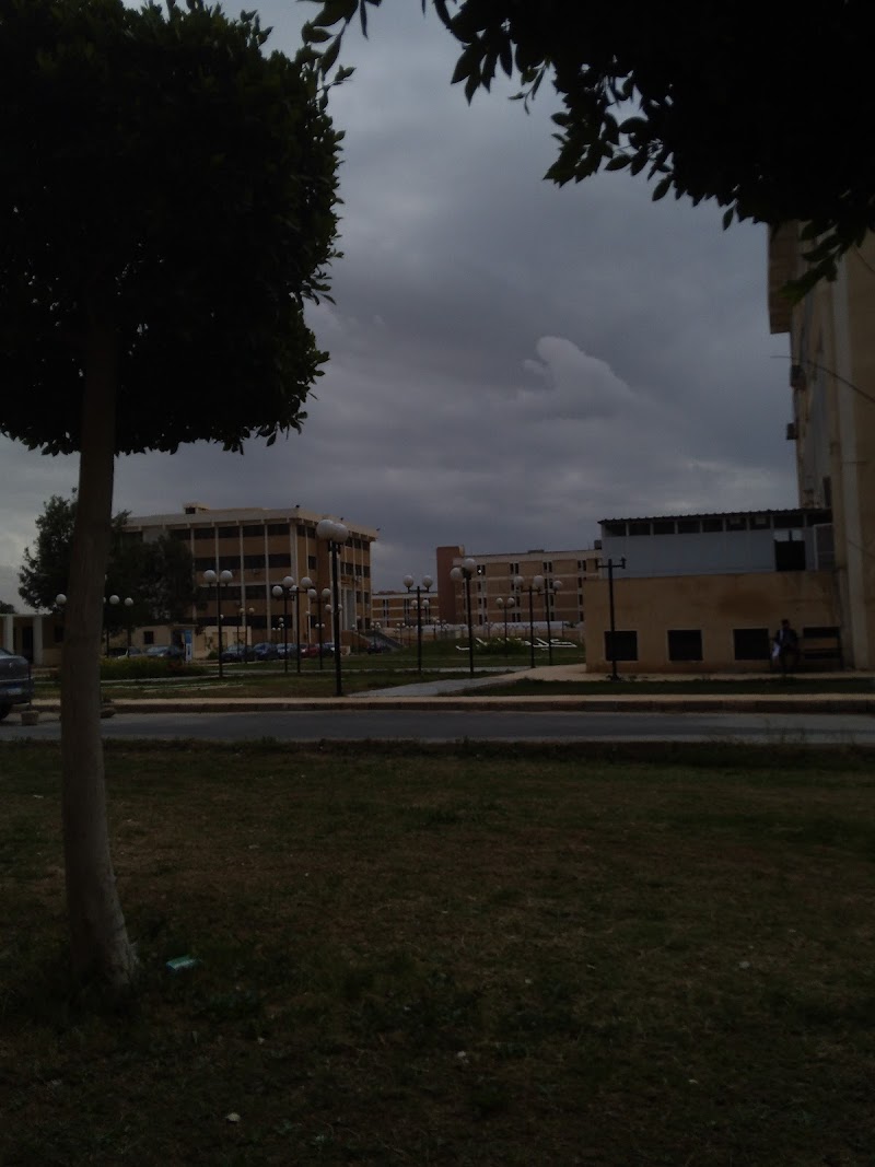 كلية الطب - جامعة قناة السويس - صورة 1