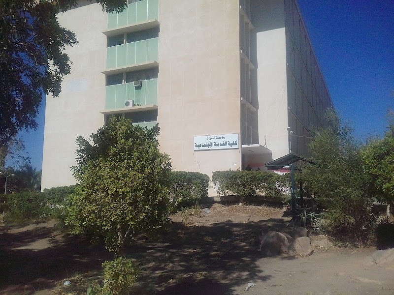Faculty of Social Works - Aswan University