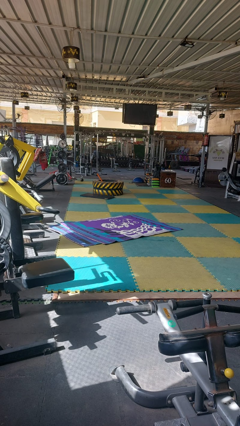 VIP GYM - صورة 3