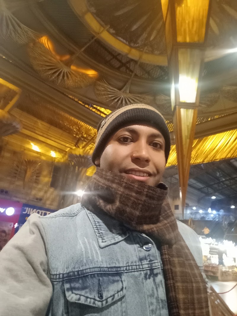الطيار