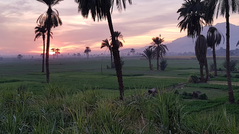 متجر - صورة 3