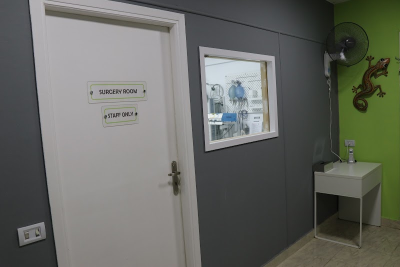 I-Vet Clinic - صورة 2