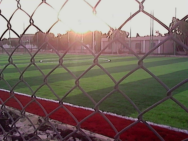 مركز شباب ناصر بالوادى الجديد - Photo 2