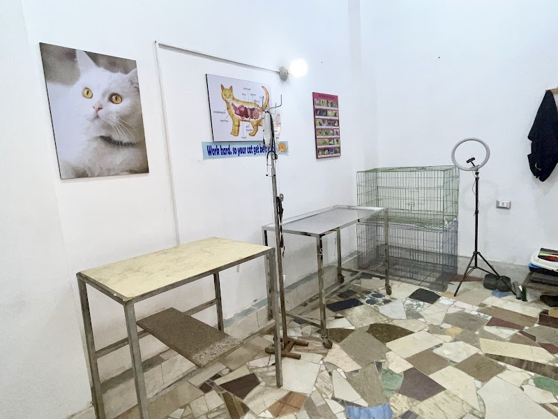 المركز البيطري | Meow Clinic