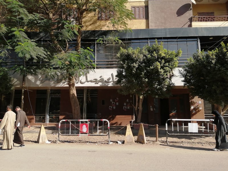 بنك فيصل الاسلامى المصرى
