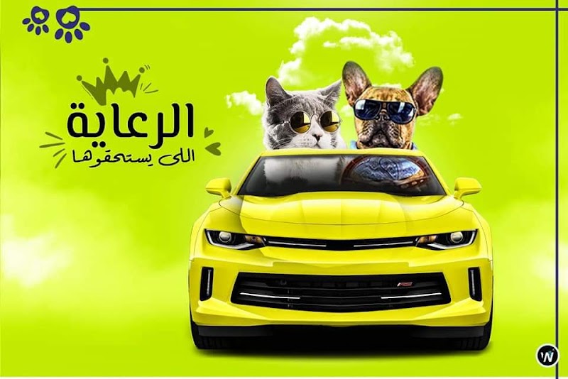 Pet Star - صورة 2