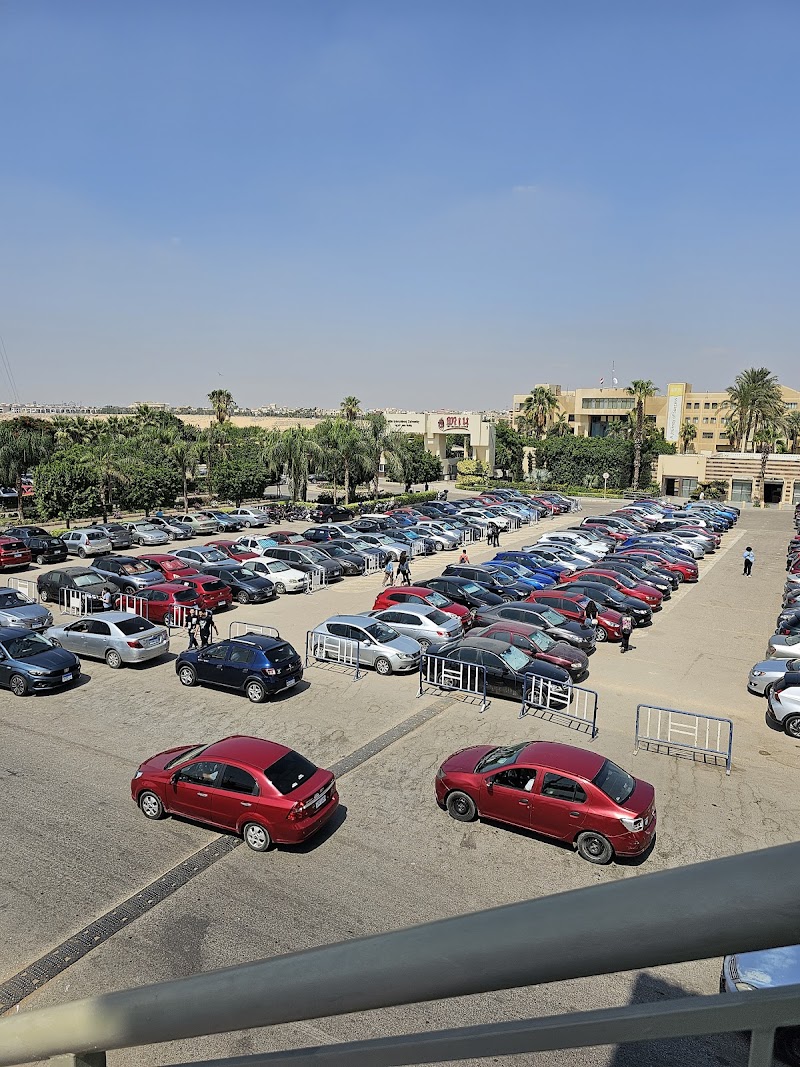 جامعة مصر الدولية - صورة 1