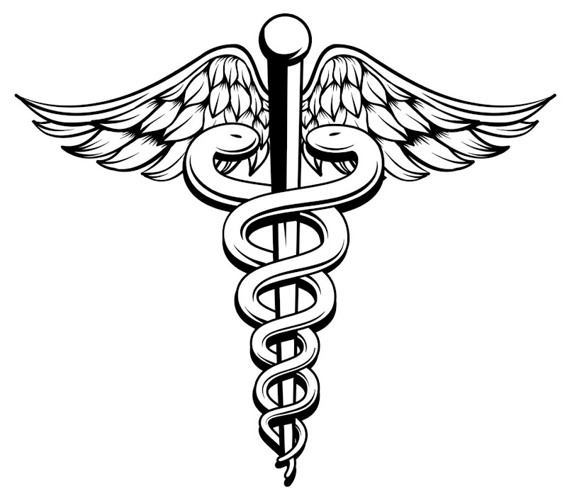 vet care"العيادة البيطرية الشاملة" - صورة 2