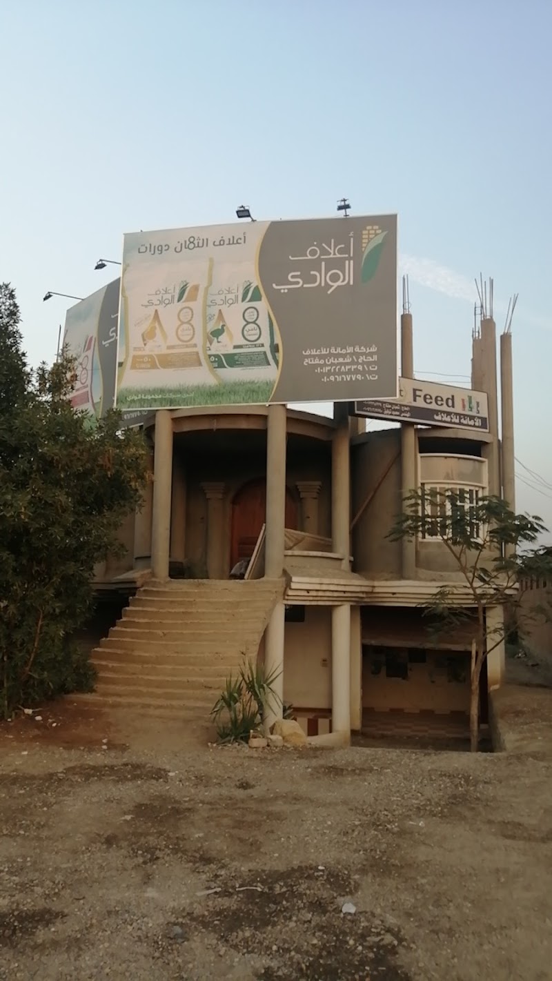 مؤسسة الامانة للاعلاف