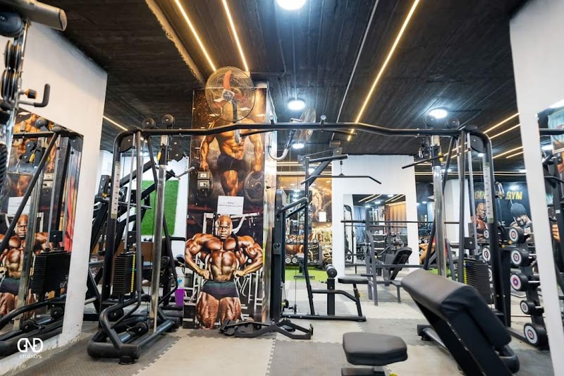 GOLDEN GYM BENI-SUEF - صورة 3