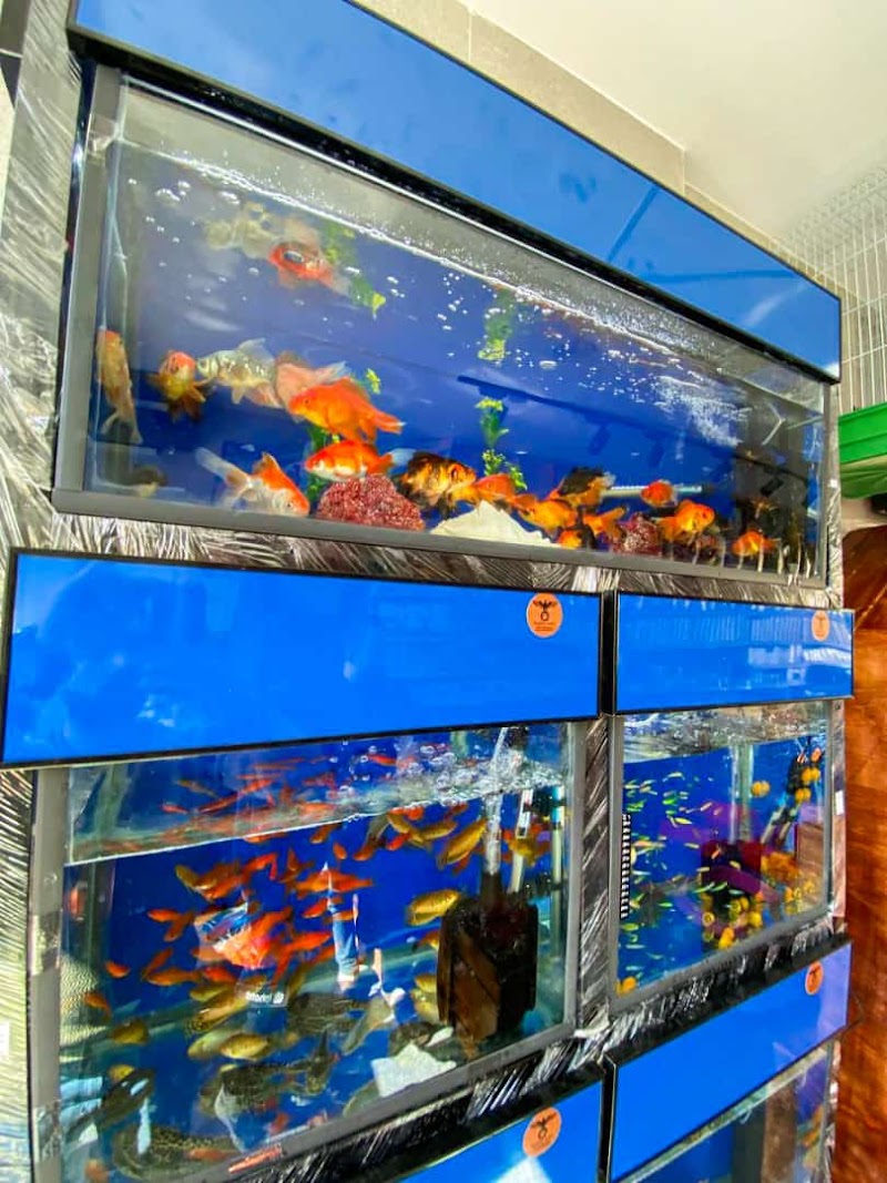 Eagles Pet Shop - صورة 2