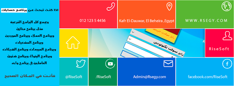 رايز سوفت تكنولوجى
