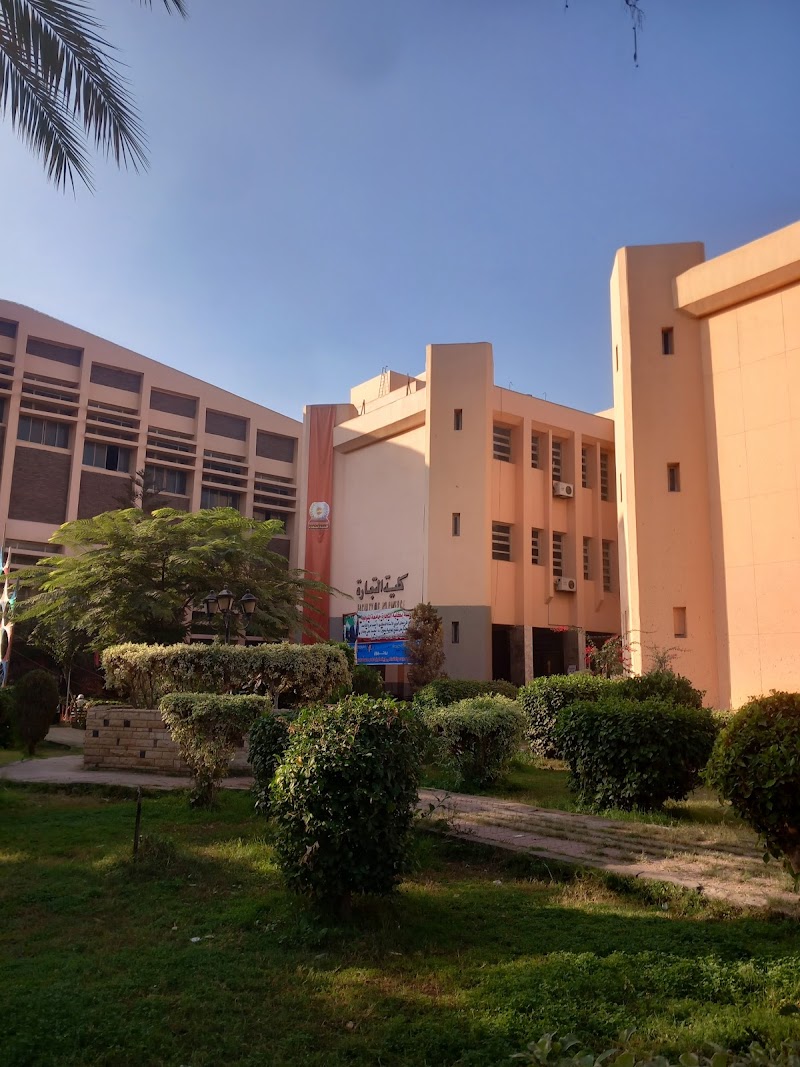 Faculty of Business, Menoufia University - Photo 1