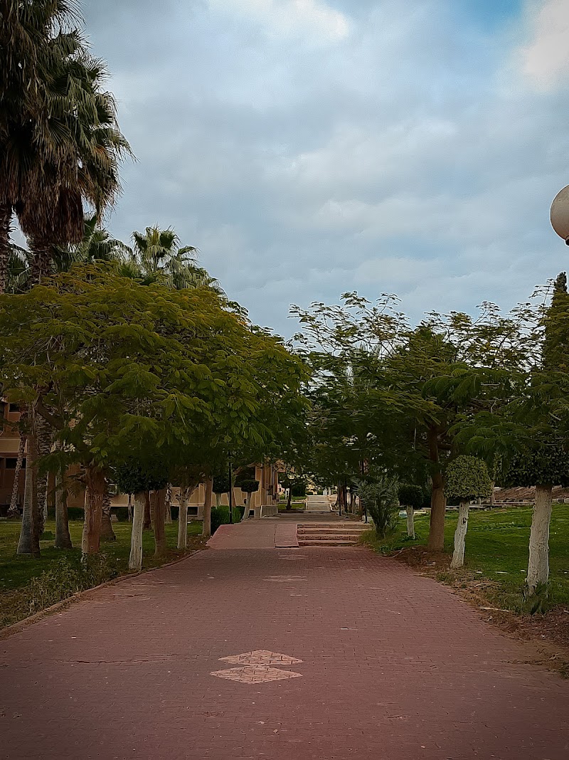 جامعة قناة السويس - صورة 2