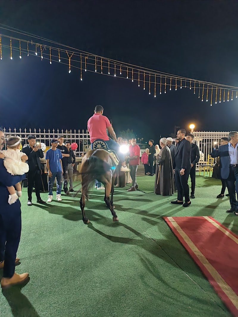 قاعة قصر الماسة - صورة 1
