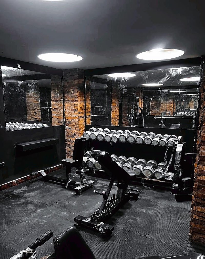 X Gym - Photo 3