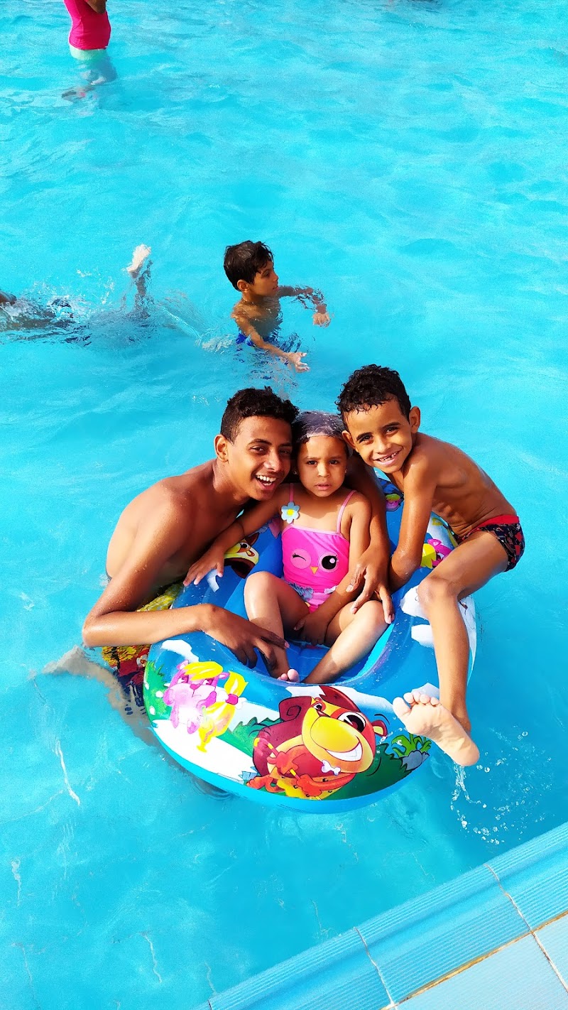 نادي الشمس الرياضي بأسوان - Photo 2