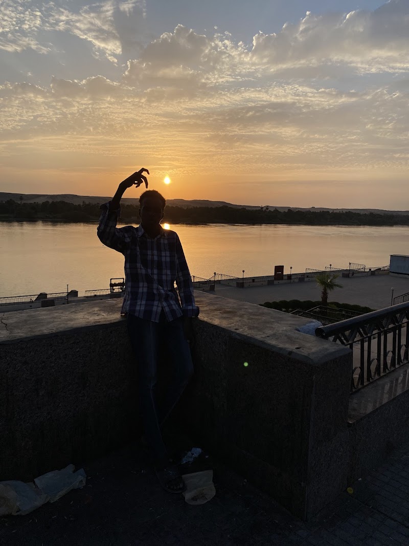 المدينة الصناعية باسوان - صورة 1
