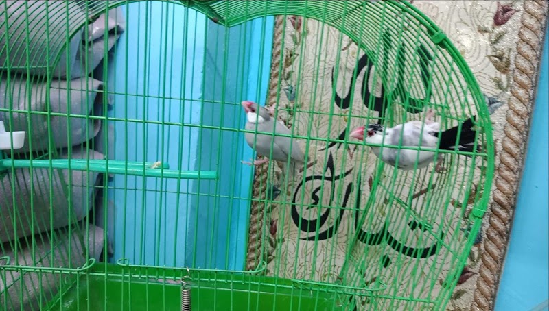سندباد للحيوانات الأليفه - صورة 2