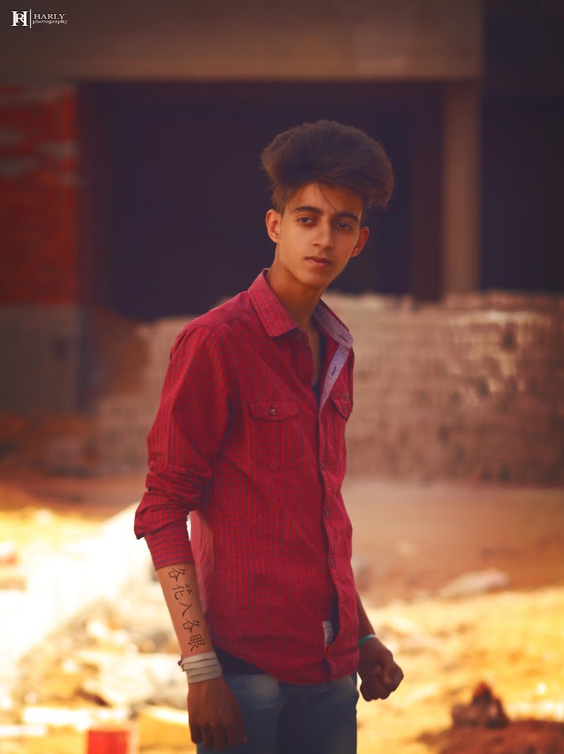 Harley - photography