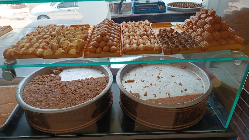 زانوبيا - صورة 3