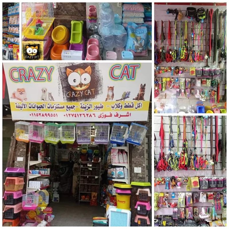 دلع كلاب 2