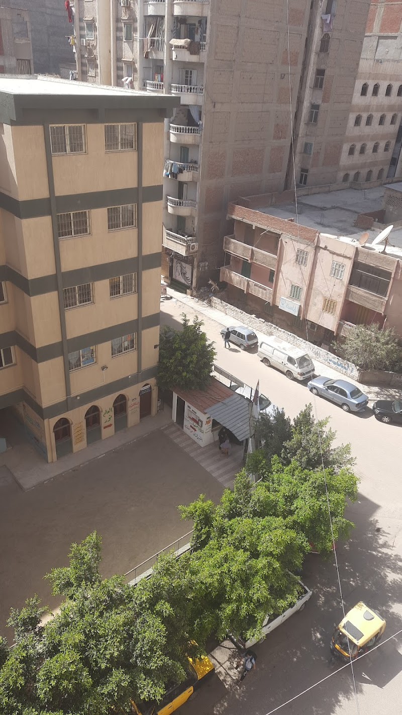 معهد المرحوم كردى عبد الفتاح الإبتدائى بالسيوف - صورة 2
