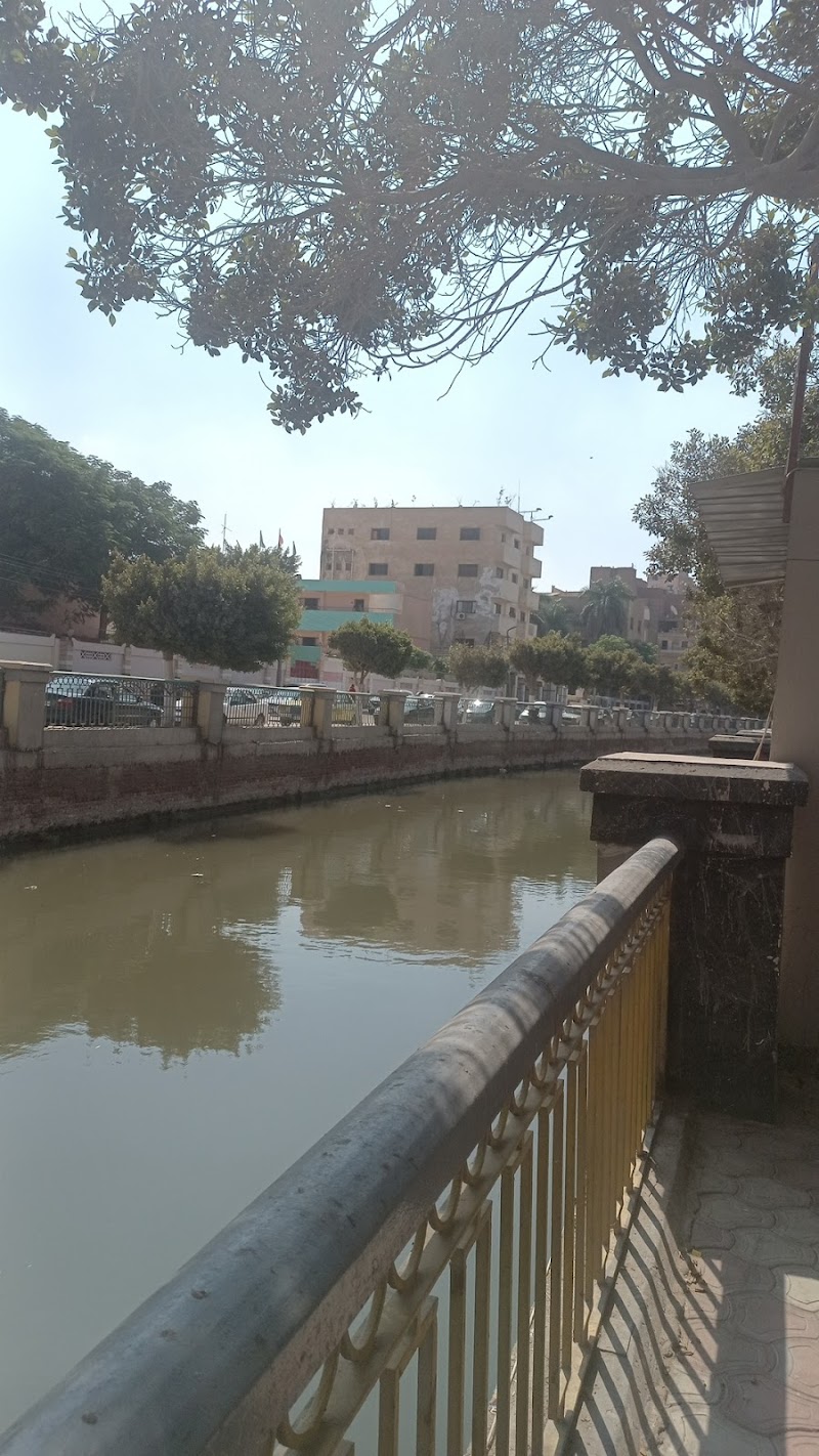 مجلس مدينة الفيوم - صورة 2
