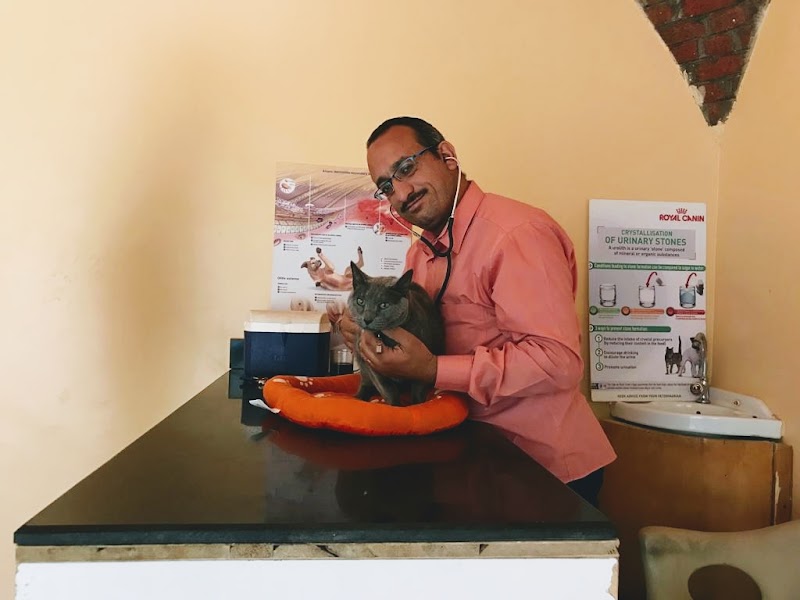 Royal vet clinic Hurghada Dr Adel Labib - صورة 2