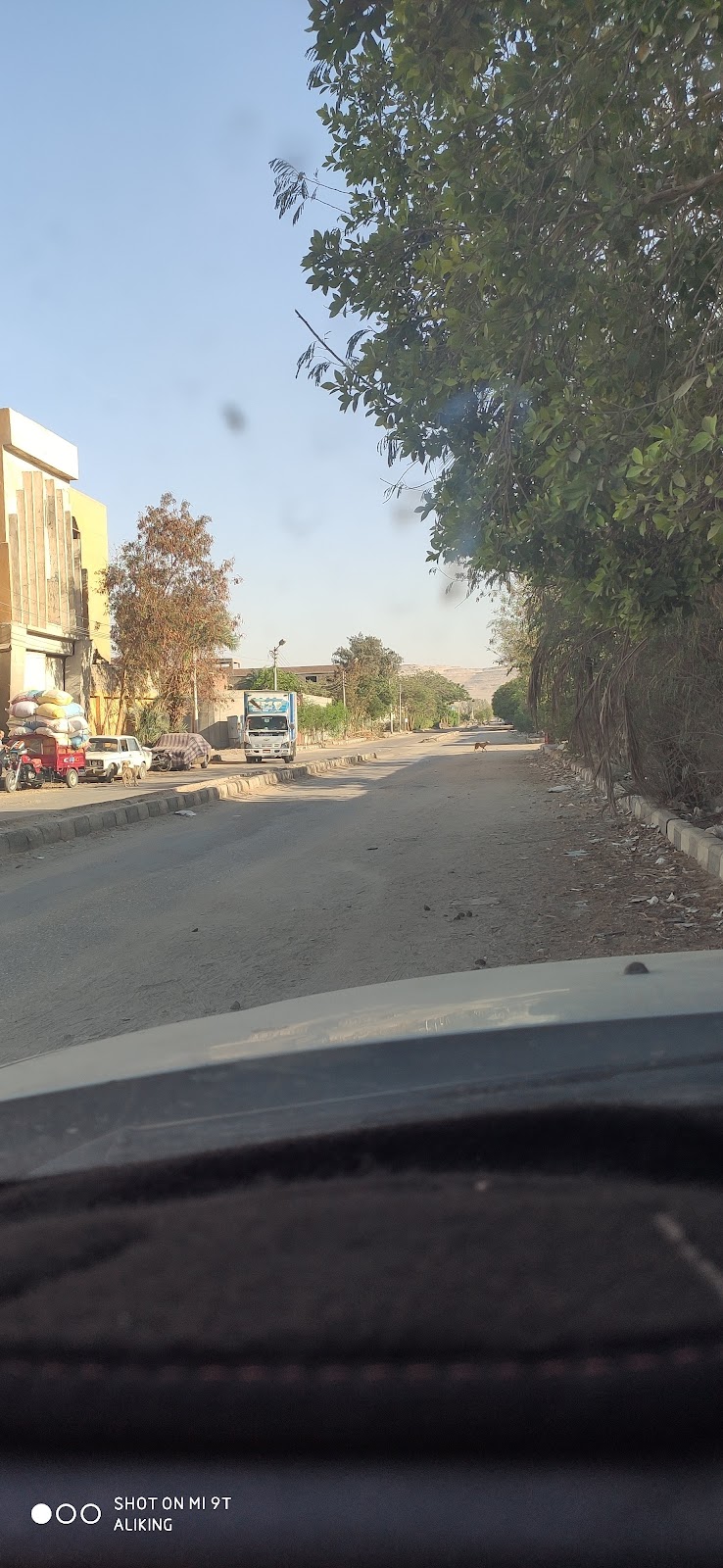 شركة الامراء اللمطاحن - صورة 3