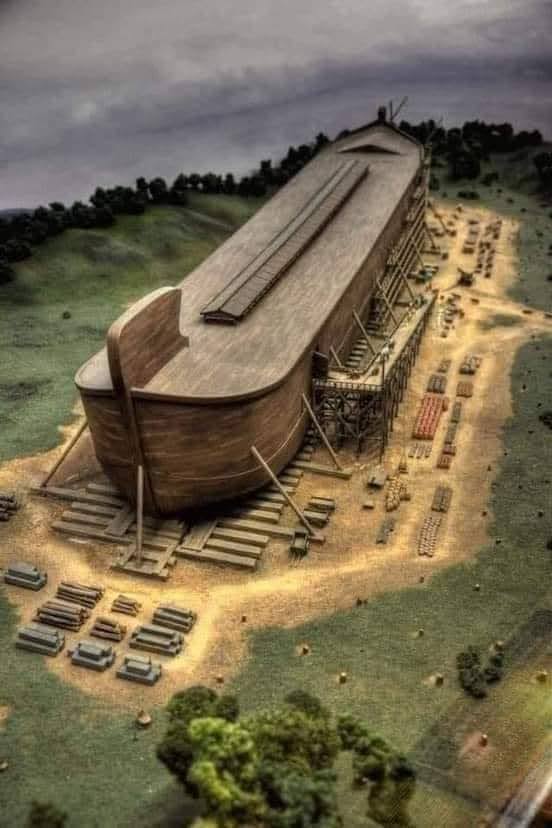 سما للخدمات العقارية والتصدير - صورة 2