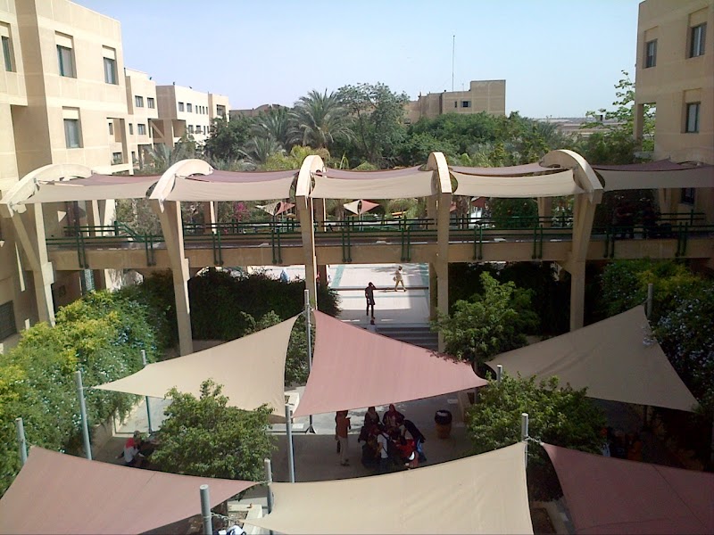 جامعة مصر الدولية - صورة 3