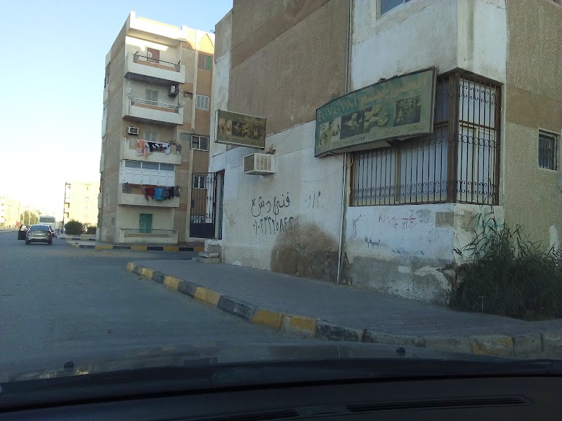Egy Gym ,ايجى جيم - صورة 3