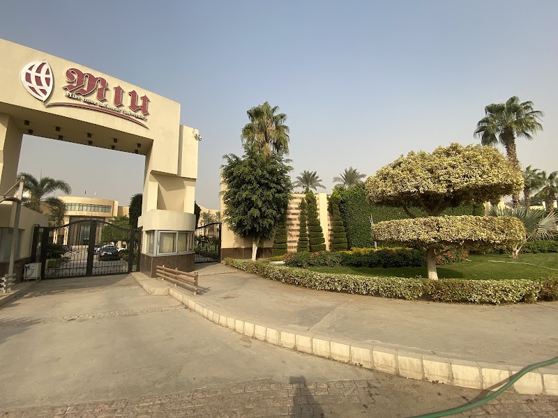 جامعة مصر الدولية