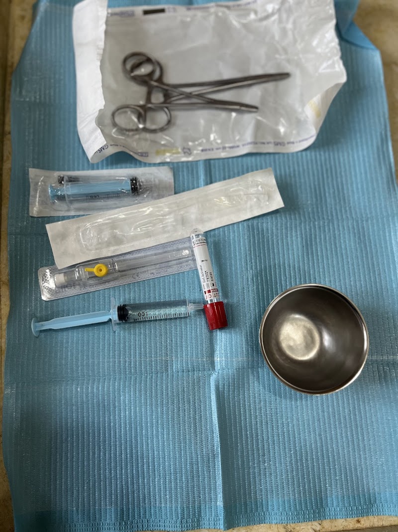 Panda Vet Clinic - Photo 3
