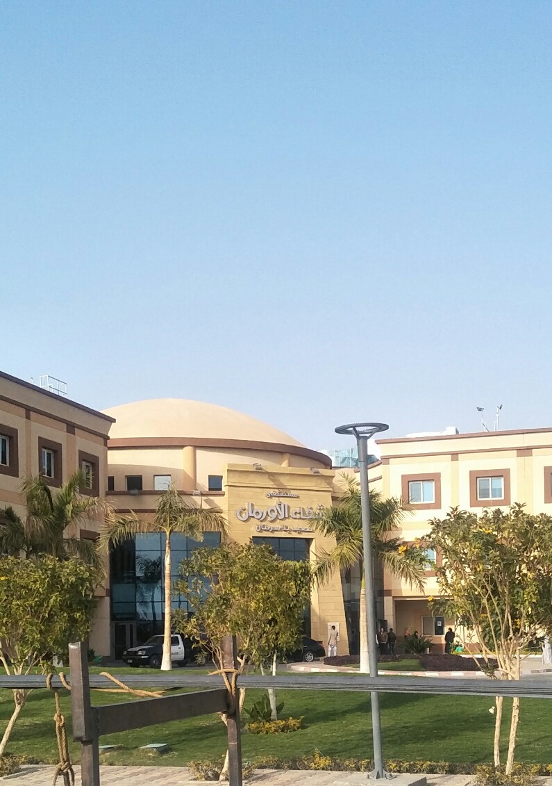 Orman Hospital Tiba Luxor - Photo 1