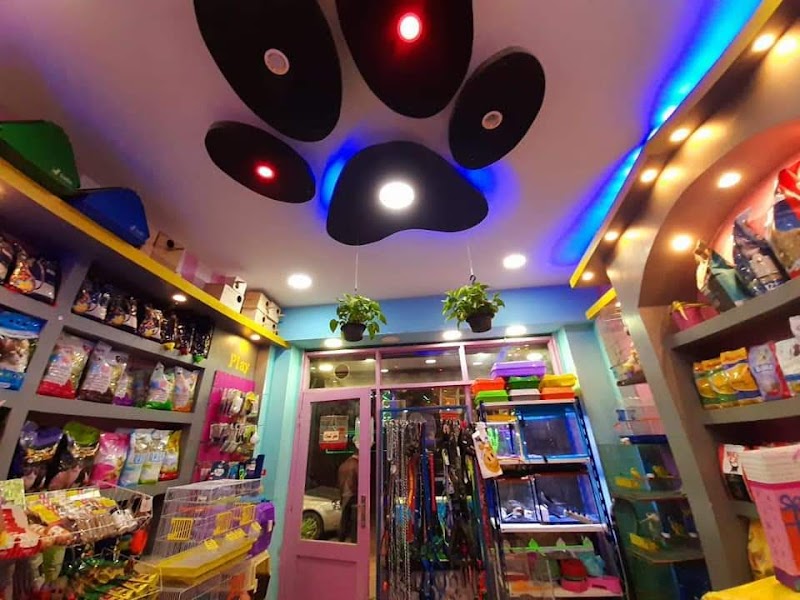Simba pet's store