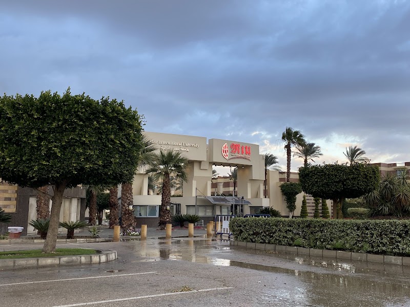 جامعة مصر الدولية - صورة 2