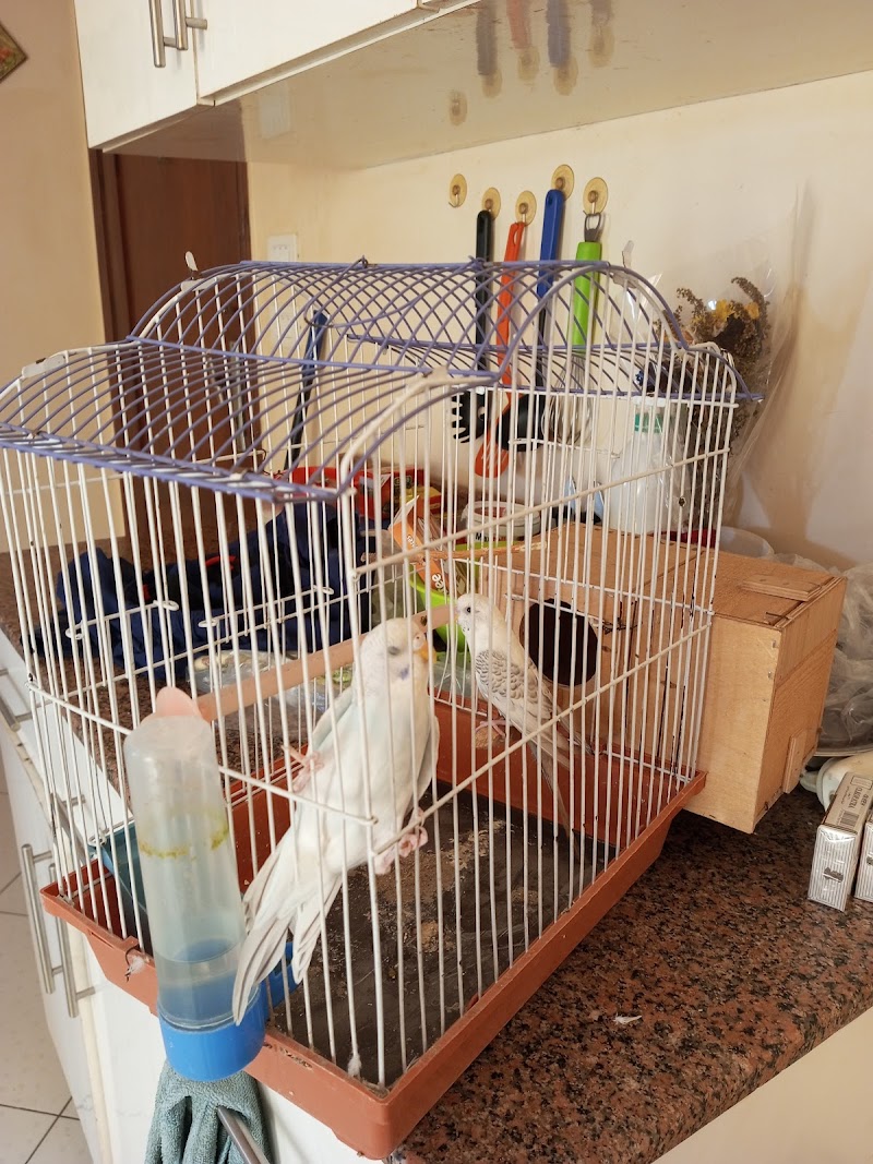 Al bahey pet shop - Photo 1