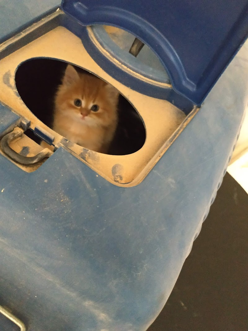 Pets Mall - صورة 2