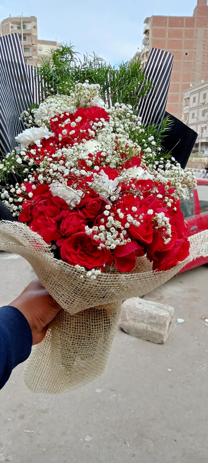 زهور عصفور الجنة - Photo 1