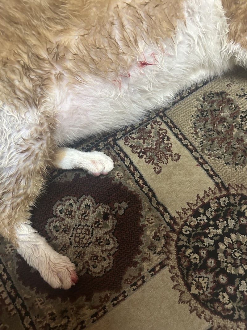 عيادات Vet Care البيطرية - Photo 1