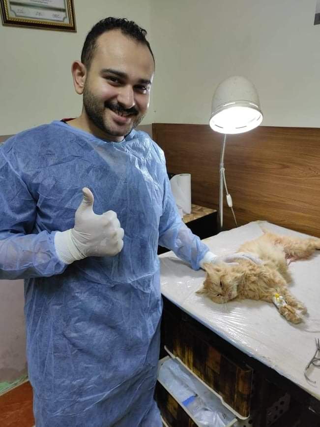 عيادة بيطرية للحيوانات الأليفة - Pet Home - Photo 3