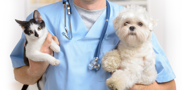 Pinky Veterinary Clinic عيادة بيطرية - Photo 1